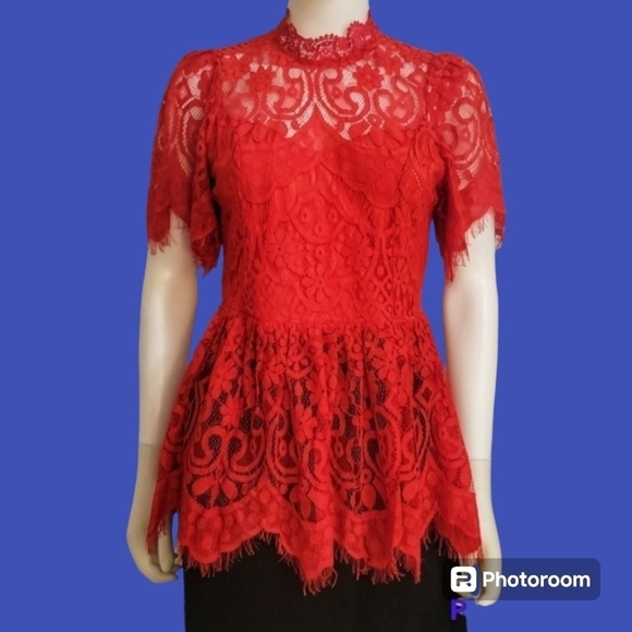 BigHit Tops - BIGHIT Peekaboo Lace Puff Sleeve Peplum Babydoll Castlecore Blouse